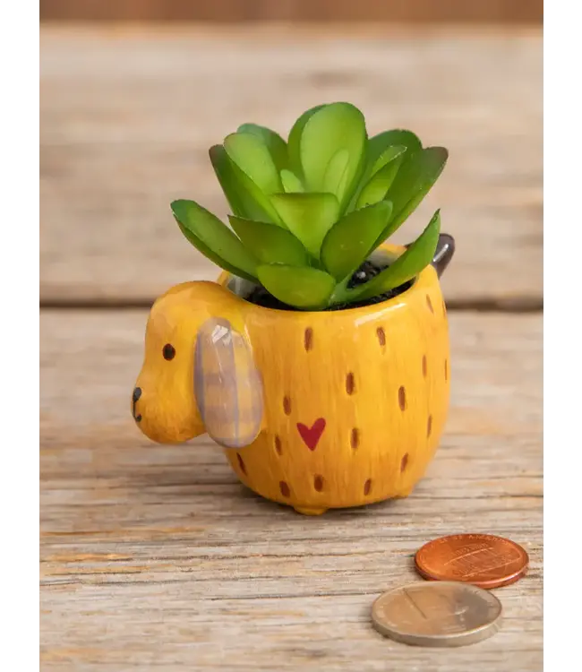 Natural Life Tiny Faux Succulents