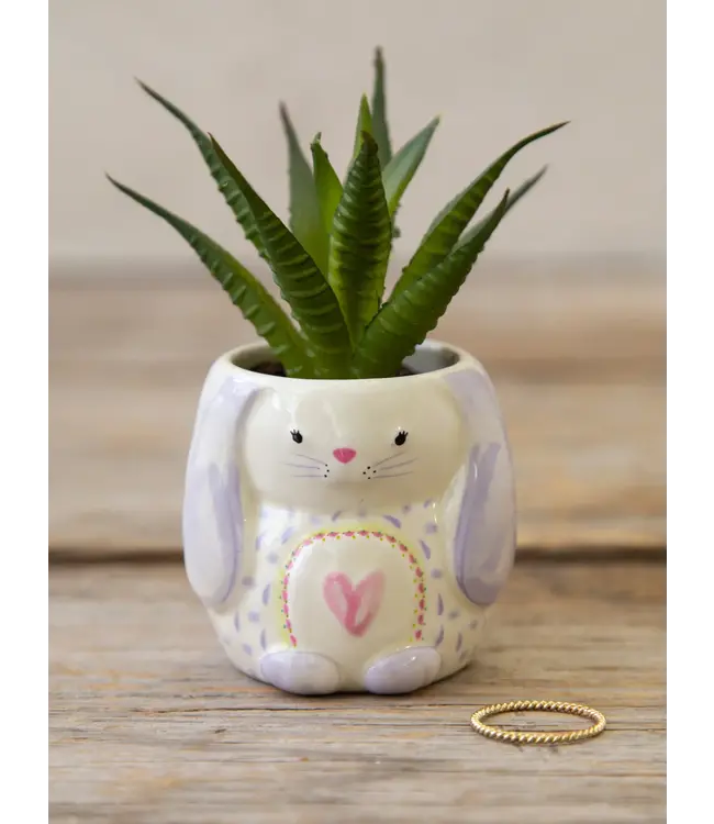 Natural Life Bunny Succulent Natural Life Bunny Succulent