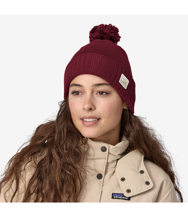 Patagonia Powder Town Beanie