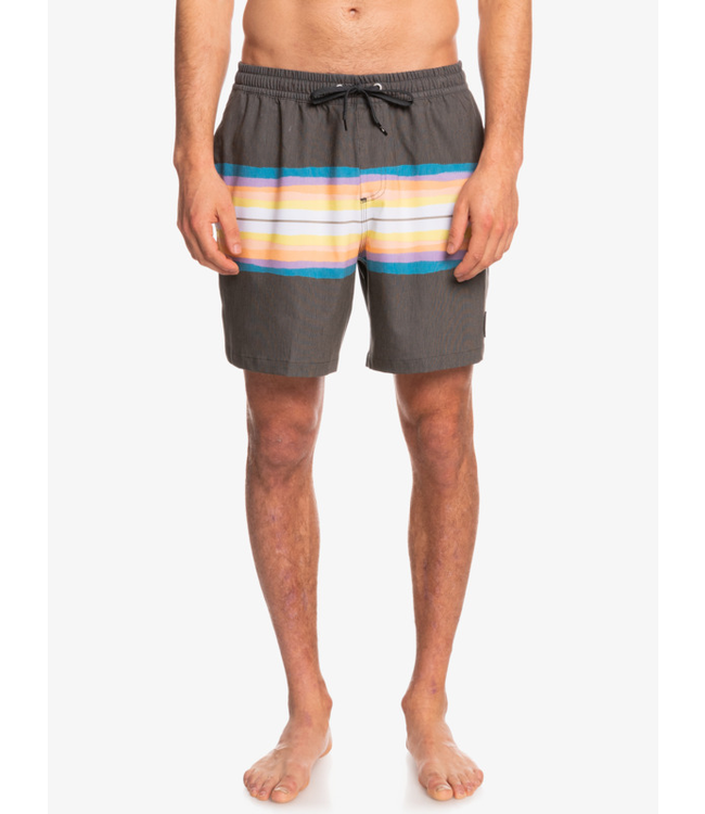 Quiksilver Resin Tint 17" Volleys Short