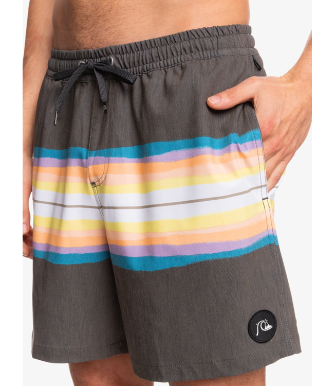 Quiksilver Resin Tint 17" Volleys Short