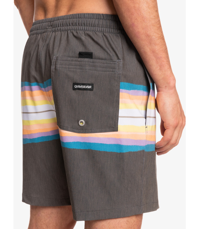 Quiksilver Resin Tint 17" Volleys Short