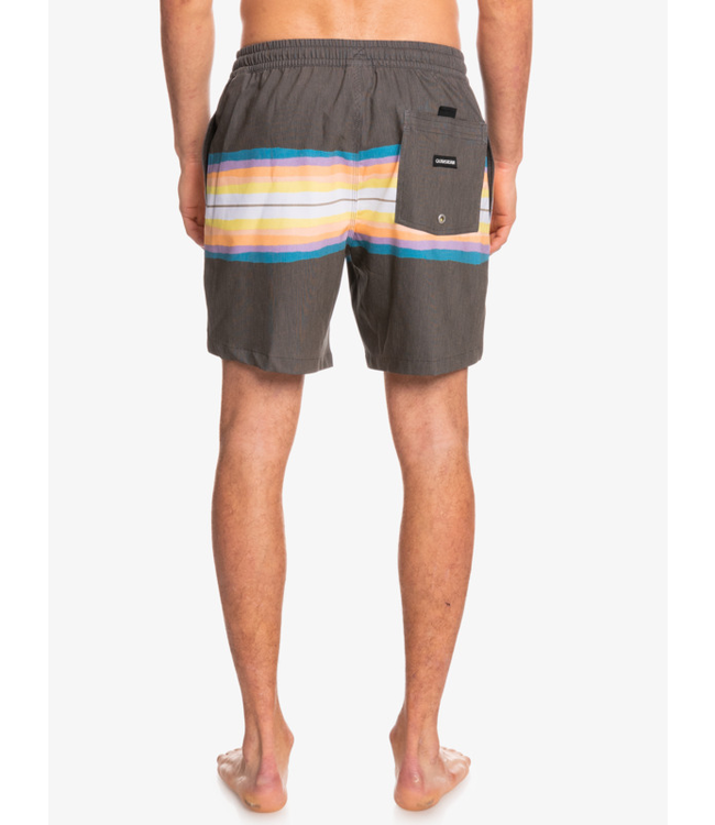 Quiksilver Resin Tint 17" Volleys Short