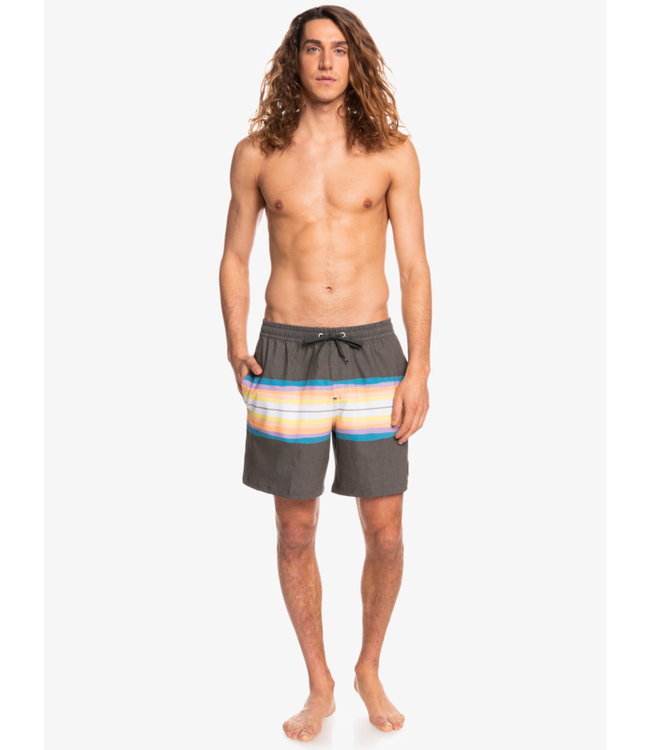 Quiksilver Resin Tint 17" Volleys Short