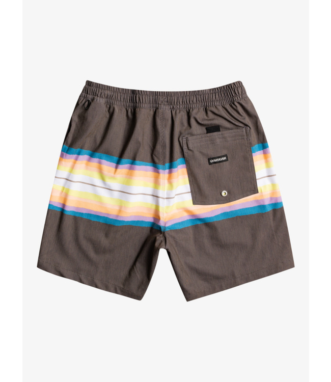 Quiksilver Resin Tint 17" Volleys Short