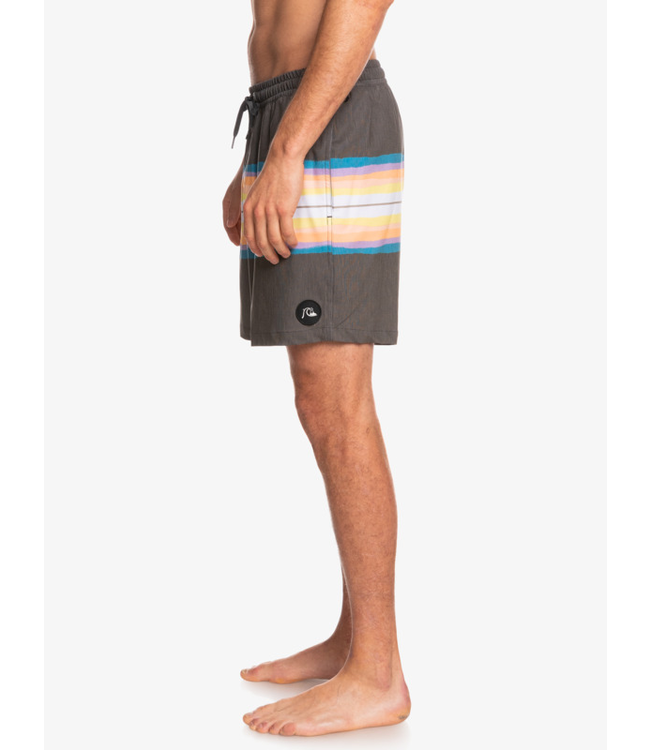 Quiksilver Resin Tint 17" Volleys Short