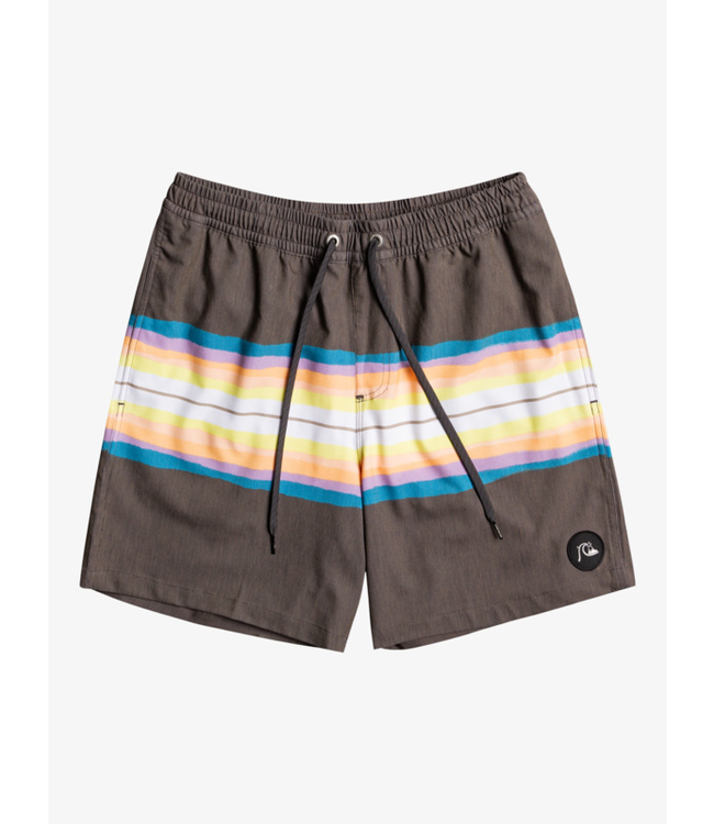 Quiksilver Resin Tint 17" Volleys Short