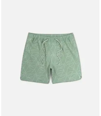 Jetty Bayside Poolshort