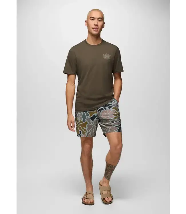 prAna La Jolla Lined Short