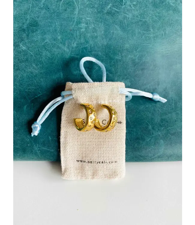 Salty Cali Streamer Earrings