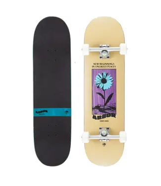 Arbor Daisy  8.5 Complete