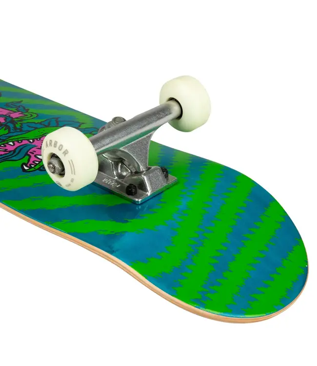 Arbor Seed 7.25 Chomp Complete Skateboard