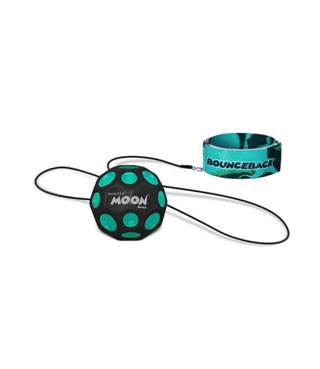 Waboba Moon Ball on a Leash