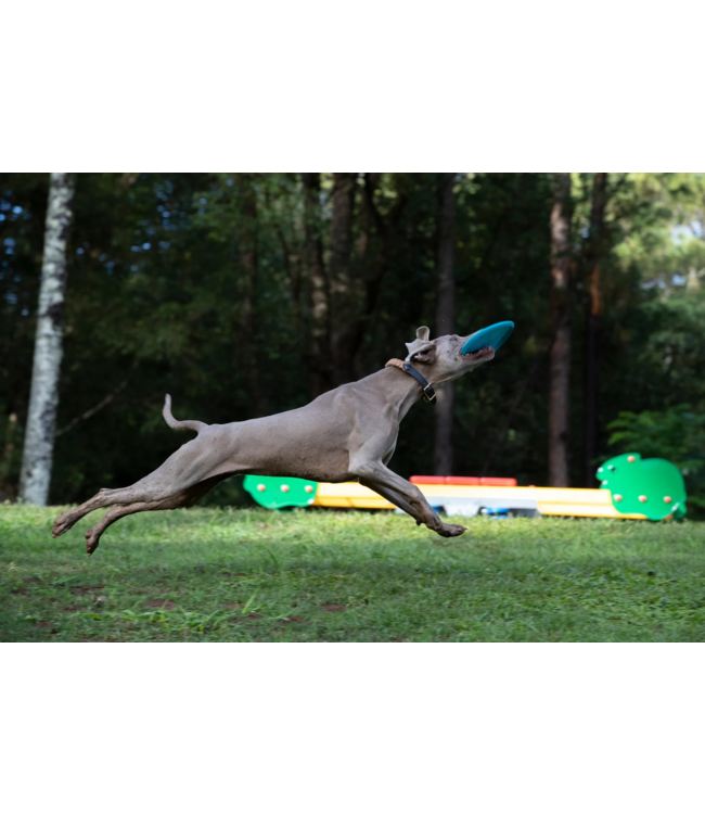 Waboba Waboba Jetwag