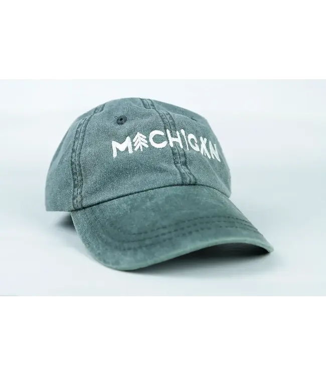 Michigan Awesome Michigan Outdoors Dad Hat