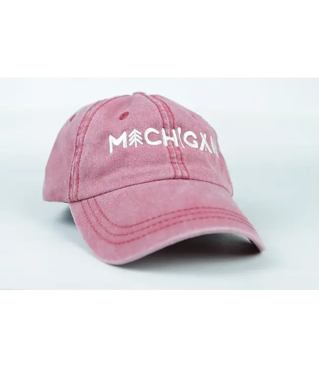 Michigan Awesome Michigan Outdoors Dad Hat