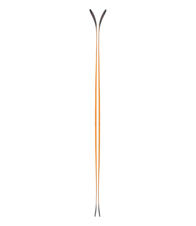 Blizzard Anomaly 88 2026