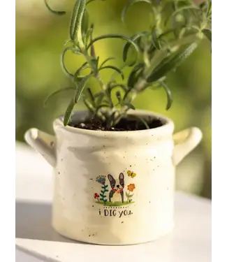 Natural Life Crock Planter