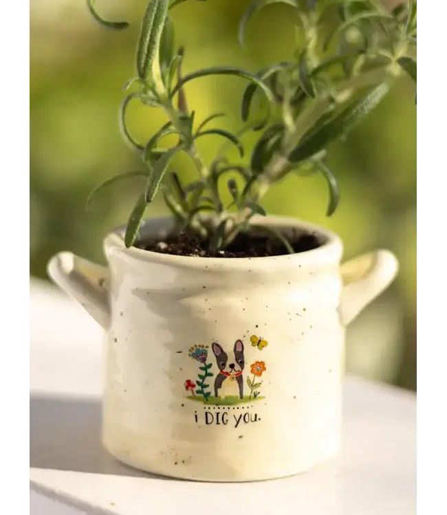 Natural Life Crock Planter