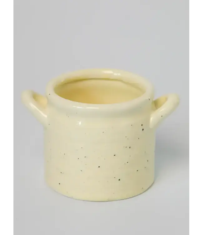 Natural Life Crock Planter