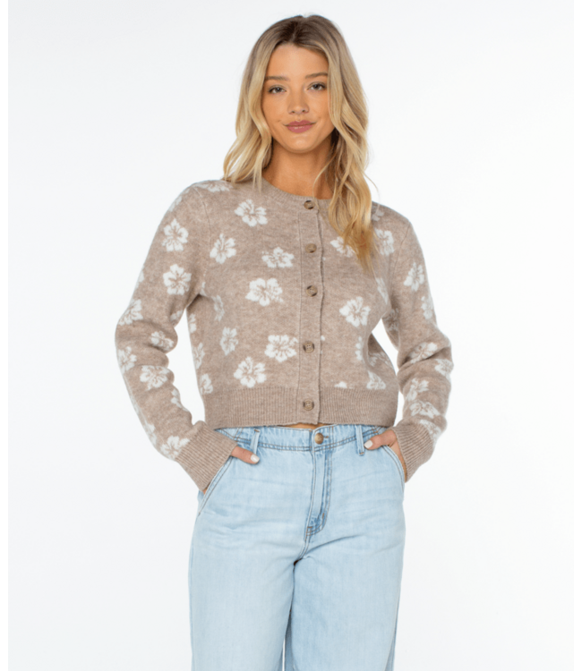 Roxy Meadow