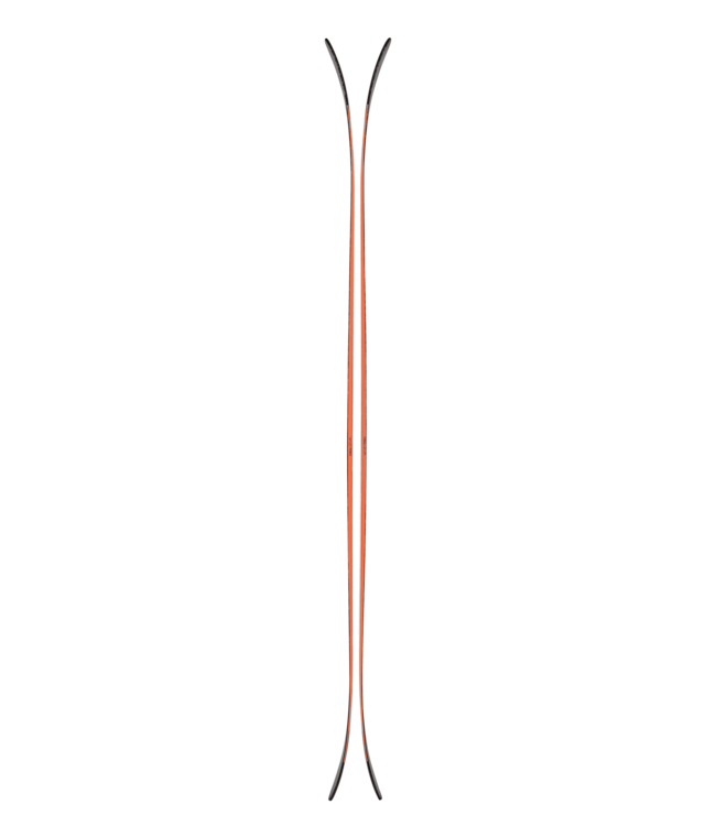 Blizzard Canvas 100 Skis 2026/27