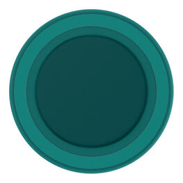 PopSockets PopGrip MagSafe Round w/ Adapter Ring Fresh Pine Soft Touch