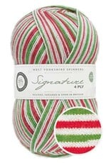 West Yorkshire Spinners Signature 4ply - Christmas Collection