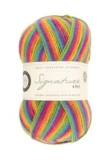 West Yorkshire Spinners Signature 4ply Sock Yarn