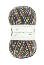 West Yorkshire Spinners Signature 4ply - Birds