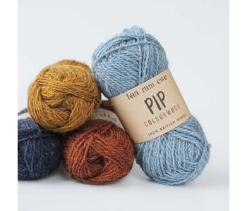Pip Colourwork