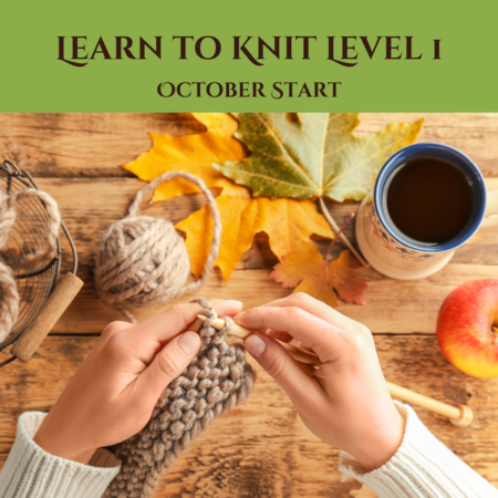 Learn to Knit Level 1 (Oct Start)