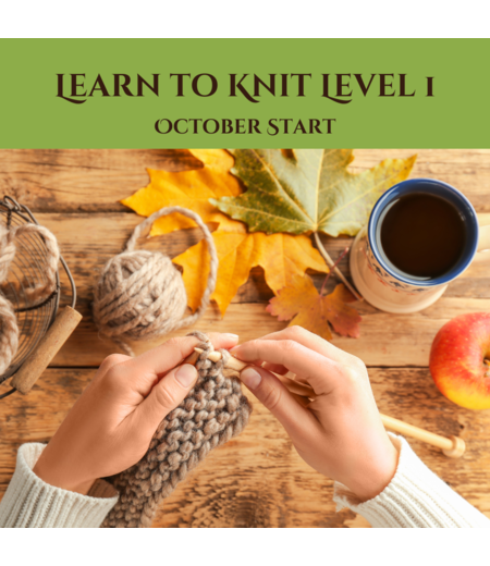 Learn to Knit Level 1 (Oct Start)