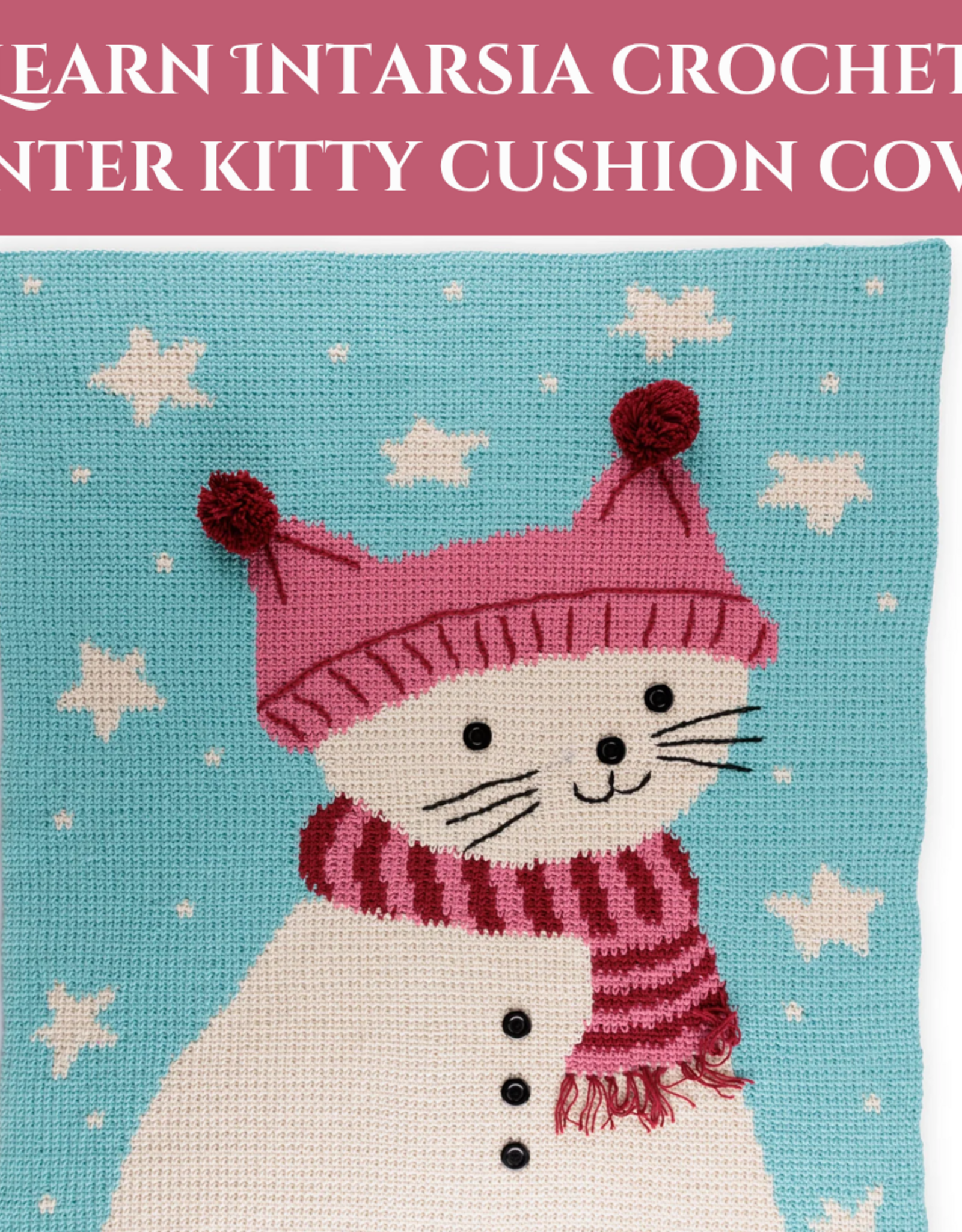 Learn Intarsia Crochet  - Winter Kitty Cushion Cover