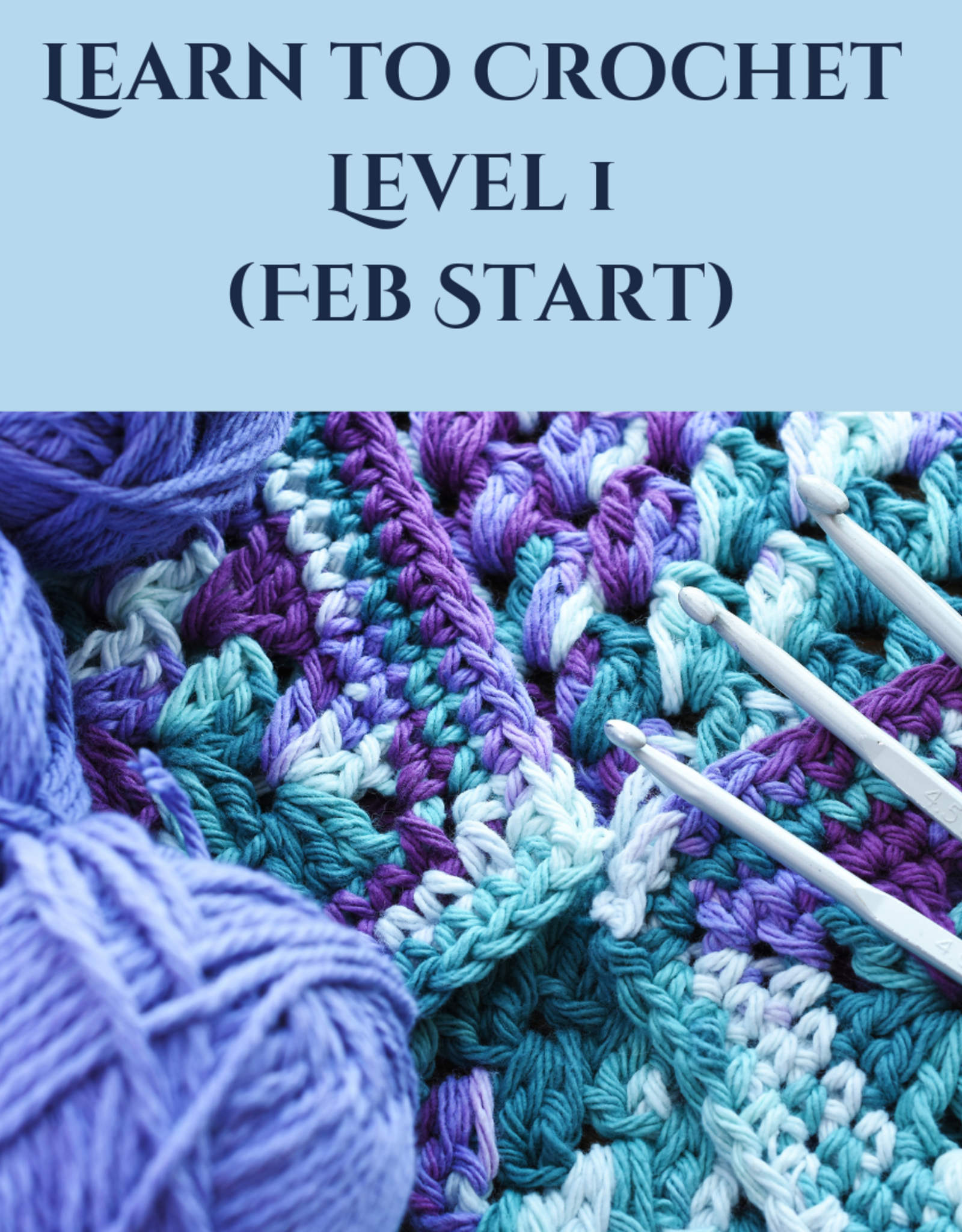 Learn to Crochet Level 1 (Feb Start)
