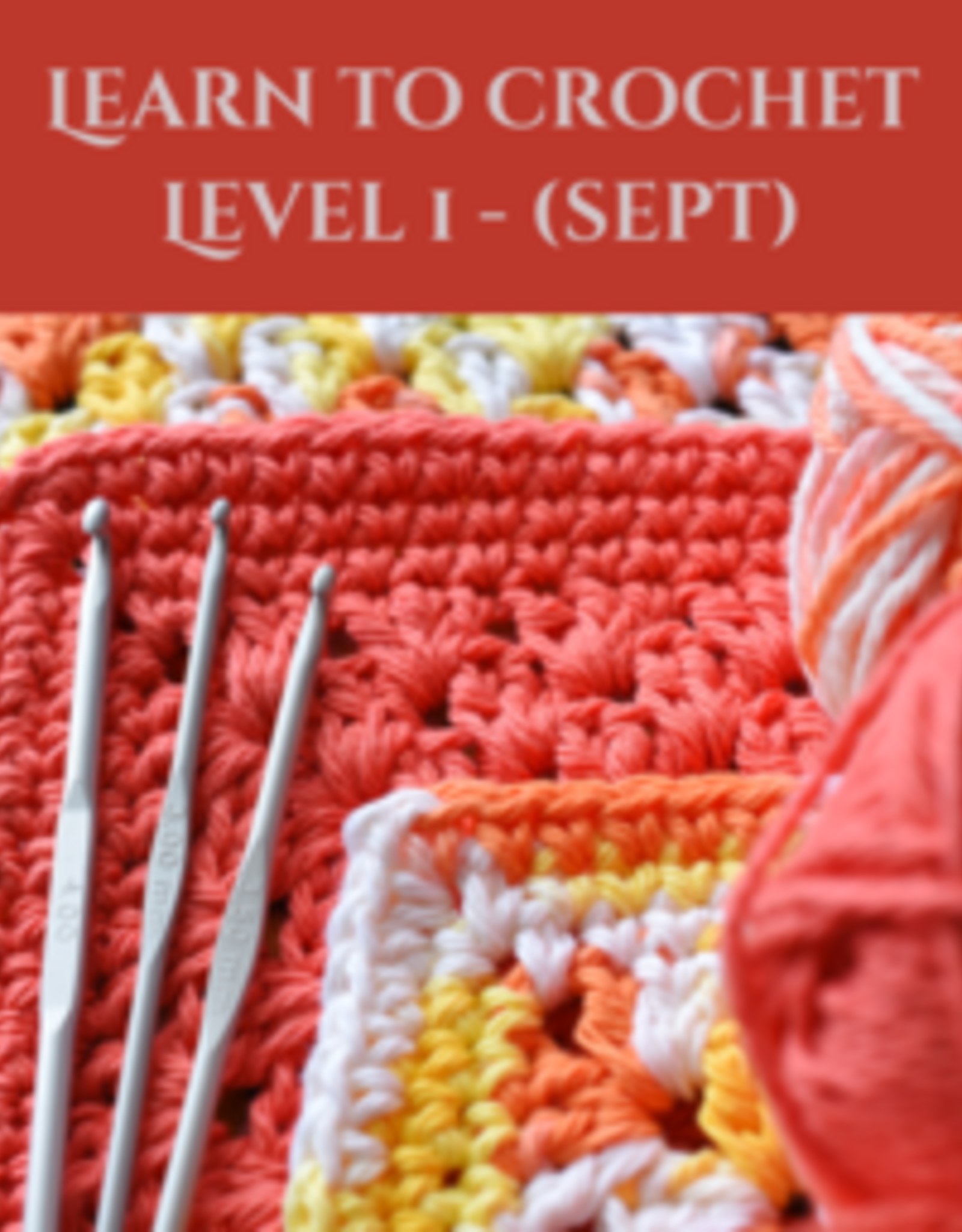Adult Learn to Crochet Level 1 (Sept Start)