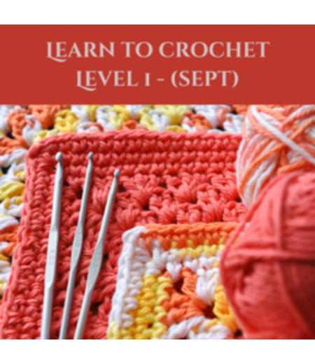 Adult Learn to Crochet Level 1 (Sept Start)