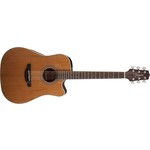 Takamine Takamine GD20CE-NS Dreadnought Cutaway Acoustic-Electric Guitar