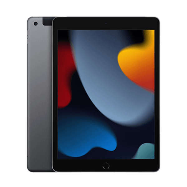 Apple Apple iPad 9th Gen 256GB Grey