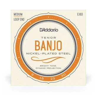 D'Addario D’Addario EJ63 Nickel-Plated Steel Loop End Banjo Tenor Medium 9-30