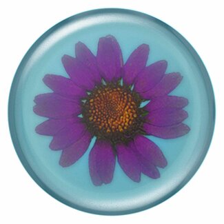 Popsockets PopSockets PopGrip Pressed Flower Purple Daisy