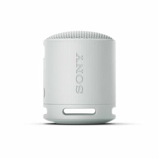 Sony Sony Portable Wireless Speaker Gray