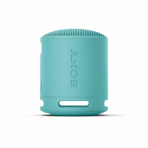 Sony Sony Portable Wireless Speaker Blue