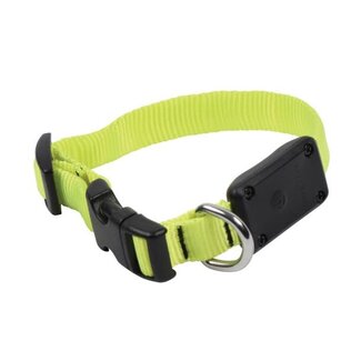 Nite Ize NiteDog Rechargeable LED Collar Lime/Green LED