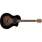 Washburn Washburn Bella Tono Studio 9 Vine CE Spruce/Walnut