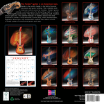 Fender Fender® 2025 Custom Shop Calendar