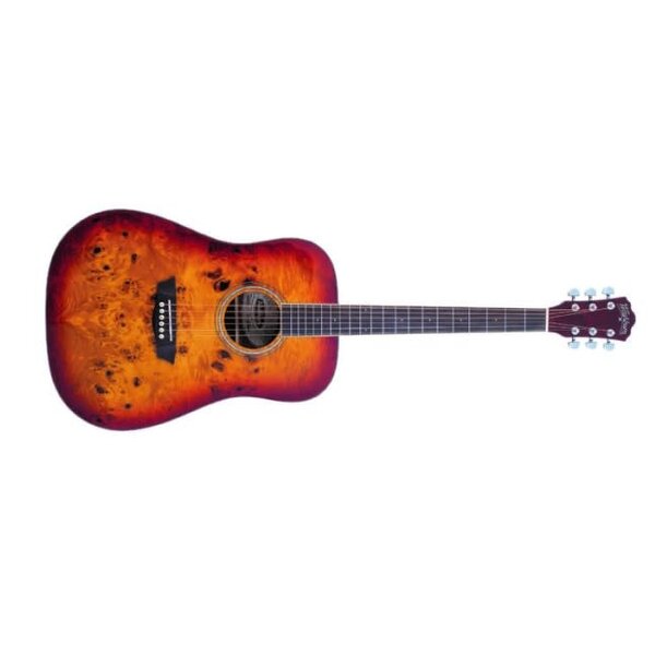 Washburn Washburn Deep Forest Burl Dreadnought Acoustic Guitar, Amber Fade