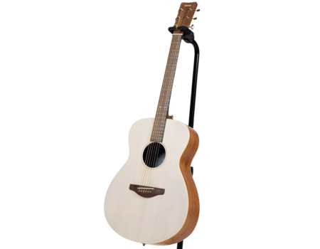 Acoustic Guitars
