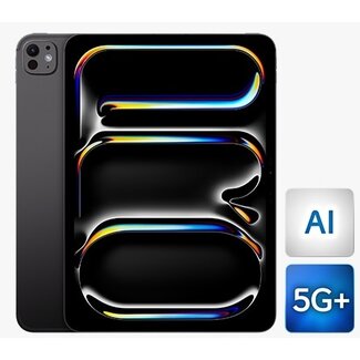 Apple Apple iPad Pro 11 2024 256GB Black