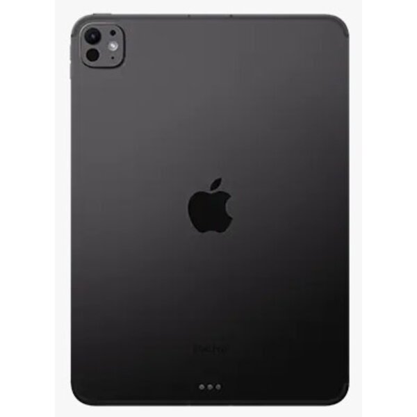 Apple Apple iPad Pro 11 2024 256GB Black